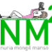 cropped-logotipo-nuria-ingenieria-1.png